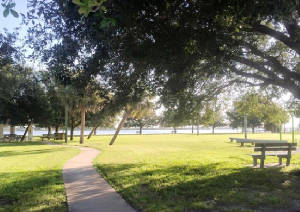 Property Owners of Gulf Cove Trees in Park